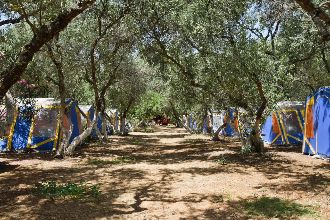 Camping Chania Kato Daratso Dış mekan fotoğraf